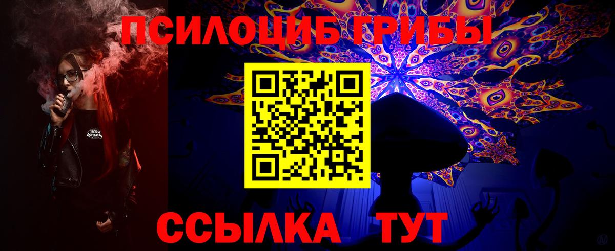наркота  Псилоцибиновые грибы Psilocybine cubensis  Вход с VPN  Галлюциногенные грибы ЛСД  Реутов 
